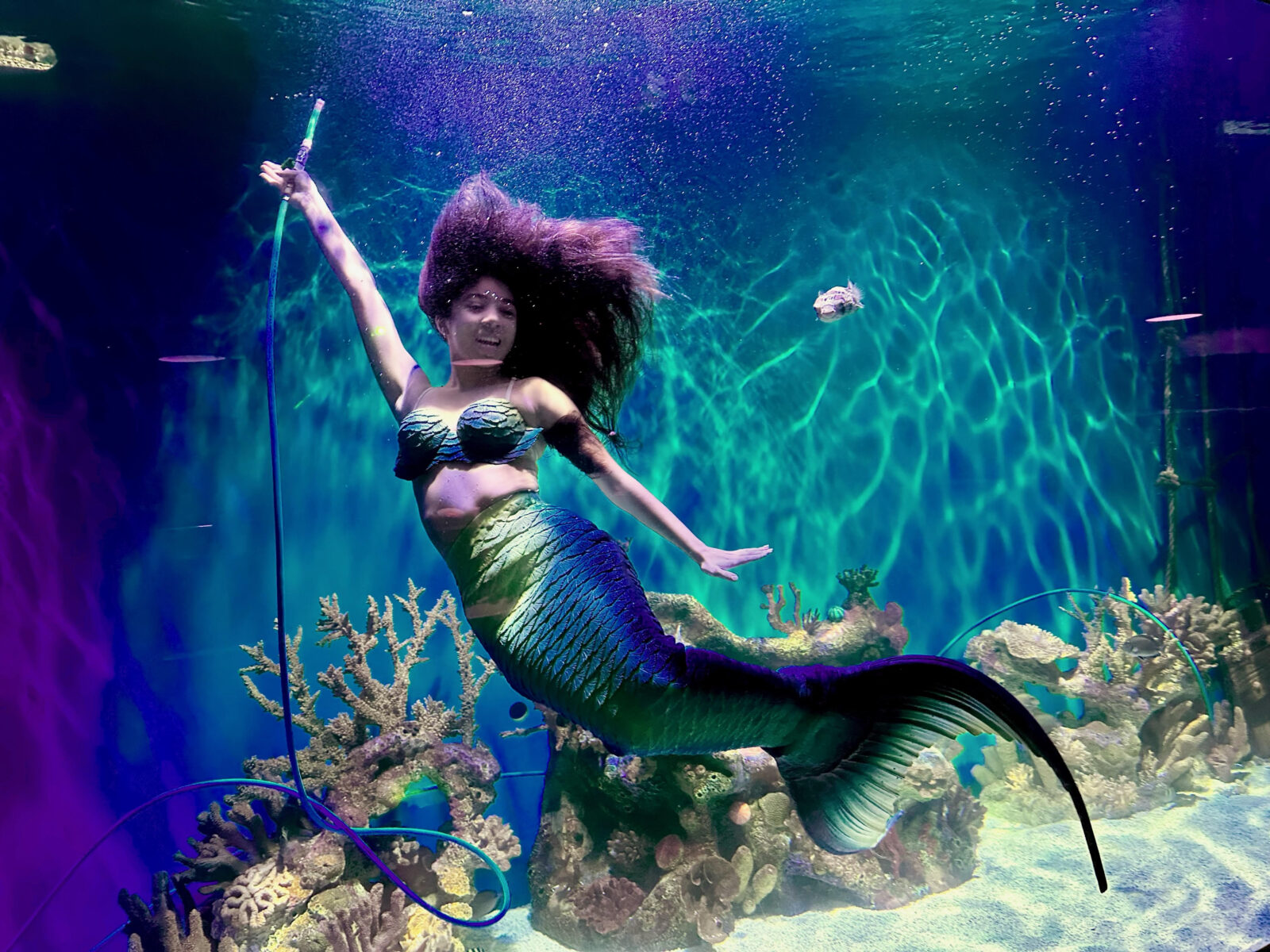 Diving Into Mermaid Life In Central Florida